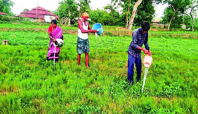 On monsoon leave for three weeks | तीन आठवड्यापासून मान्सून रजेवर