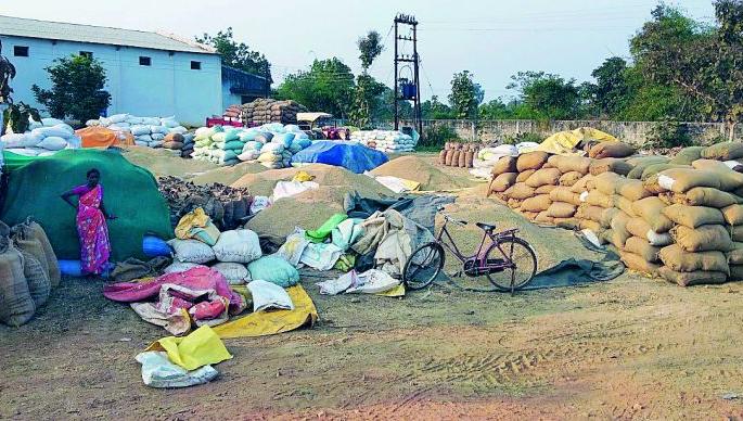 Traders control the Paddy Shopping Centers | धान खरेदी केंद्रांवर व्यापाऱ्यांचा ताबा Traders control the Paddy Shopping Centers | धान खरेदी केंद्रांवर व्यापाऱ्यांचा ताबा