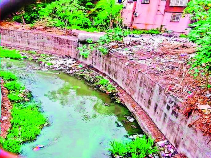 Disposal of tax money in the name of "drenej " by corporators | कराच्या पैशांची '' ड्रेनेज '' च्या नावाखाली नगरसेवकांकडून उधळपट्टी Disposal of tax money in the name of "drenej " by corporators | कराच्या पैशांची '' ड्रेनेज '' च्या नावाखाली नगरसेवकांकडून उधळपट्टी