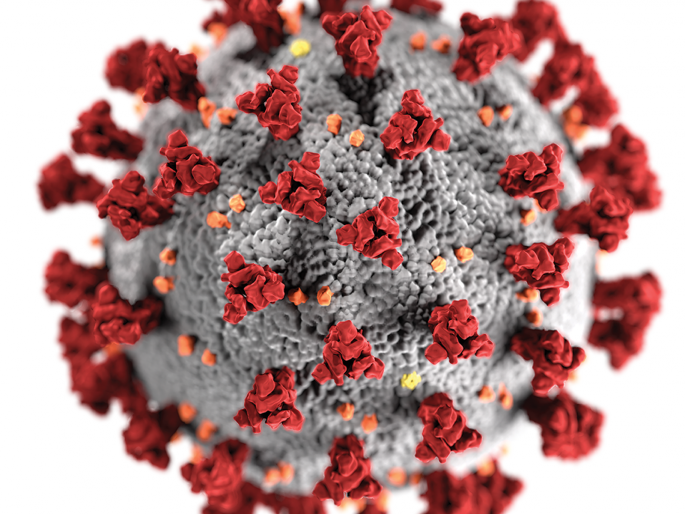 21 new infected patients in Yeola | येवल्यात २१ नवीन बाधित रुग्ण 21 new infected patients in Yeola | येवल्यात २१ नवीन बाधित रुग्ण