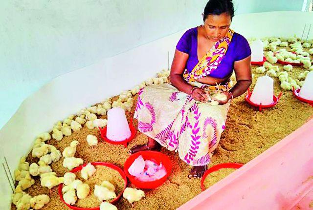 Out of 13 villages, 345 women are self-supporting | १३ गावातील ३४५ महिला झाल्या स्वावलंबी