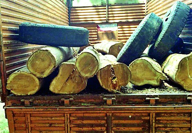 Illegal tree trunk due to ignorance of Vanodhika | वनाधिकाºयांच्या दुर्लक्षामुळे अवैध वृक्षतोड