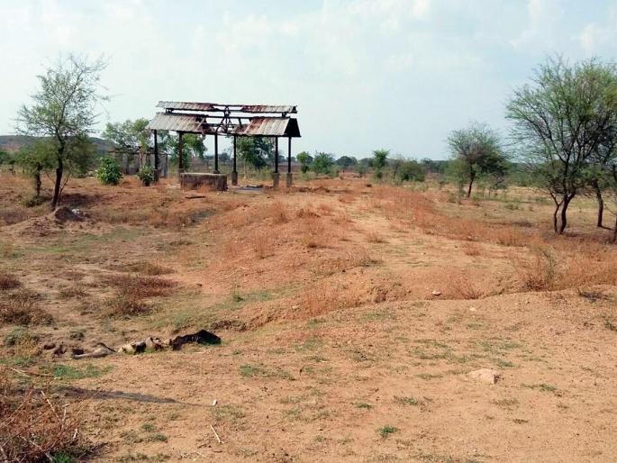 Plantation of trees in the pastures | गडीसुर्लात वृक्ष लागवडीचे झाले वाळवंट Plantation of trees in the pastures | गडीसुर्लात वृक्ष लागवडीचे झाले वाळवंट