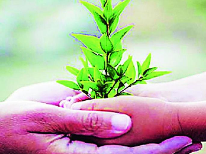 2 crore 2 lakh 5 thousand 5 trees are planted | १ कोटी ४ लाख ७१ हजार १६१ वृक्षांची लागवड