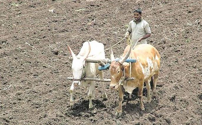 Obstacles of pre-sowing lockdown to farmers | पेरणीपूर्व शेतकामांना लॉकडाउनचा अडसर Obstacles of pre-sowing lockdown to farmers | पेरणीपूर्व शेतकामांना लॉकडाउनचा अडसर