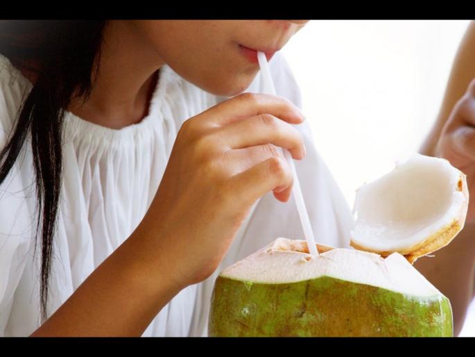 Drinking coconut water in winter is good or bad? | हिवाळ्यात नारळाचं पाणी पिता का? एकदा जाणून घ्या याने होणारे नुकसान Drinking coconut water in winter is good or bad? | हिवाळ्यात नारळाचं पाणी पिता का? एकदा जाणून घ्या याने होणारे नुकसान