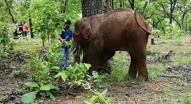 Now Aditya has given up eating and drinking ... | आता तर ‘आदित्य’ने खाणेपिणेही दिलेय सोडून... Now Aditya has given up eating and drinking ... | आता तर ‘आदित्य’ने खाणेपिणेही दिलेय सोडून...