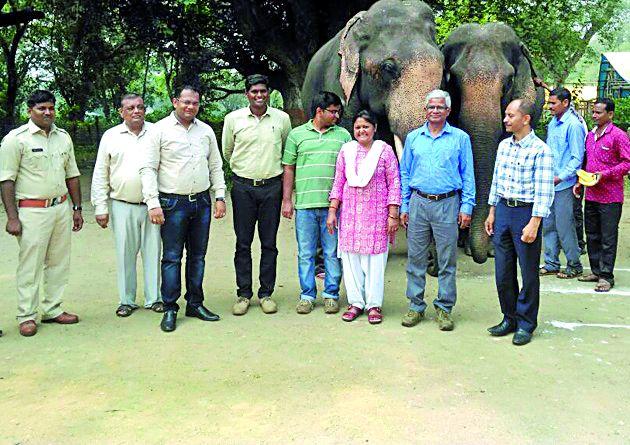 Strengthen biodiversity committees | जैवविविधता समित्या बळकट करा