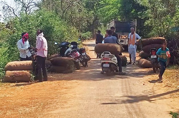 Farmers get low prices in Gadchiroli; The result of the lockdown | गडचिरोलीतील कारली दलालांच्या दावणीला; लॉकडाऊनचा परिणाम Farmers get low prices in Gadchiroli; The result of the lockdown | गडचिरोलीतील कारली दलालांच्या दावणीला; लॉकडाऊनचा परिणाम