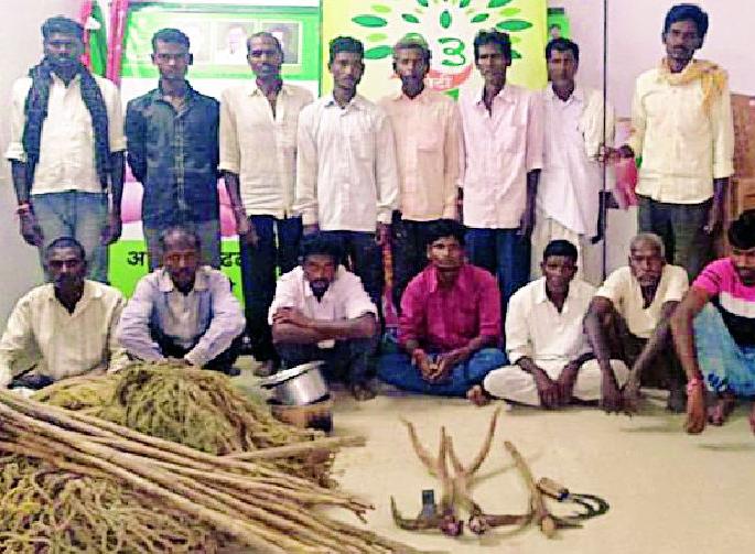 The 17 assailants of Chitala were arrested | चितळाची शिकार करणाऱ्या १७ आरोपींना अटक