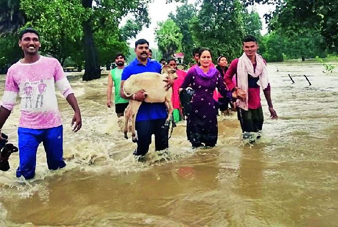 District again | जिल्ह्यात पुन्हा मुसळधार