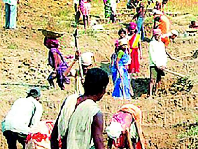 5 lakh man days employment from Roho | रोहयोतून पाच लाख मनुष्य दिवस रोजगार 5 lakh man days employment from Roho | रोहयोतून पाच लाख मनुष्य दिवस रोजगार