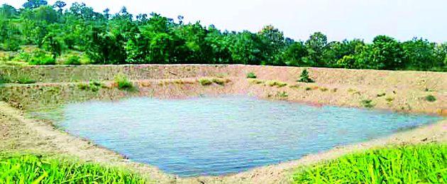 Prosperous Maharashtra 'Janakalyan' cropped up | समृद्ध महाराष्ट्र ‘जनकल्याण’ फसले Prosperous Maharashtra 'Janakalyan' cropped up | समृद्ध महाराष्ट्र ‘जनकल्याण’ फसले