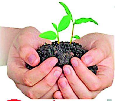 The tree authority has been waiting for two years | वृक्ष प्राधिकरणाची दोन वर्षांपासून प्रतीक्षा The tree authority has been waiting for two years | वृक्ष प्राधिकरणाची दोन वर्षांपासून प्रतीक्षा