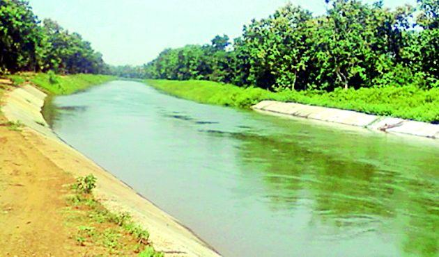 Boar gift to farmers for Ovara project | ओवारा प्रकल्प ठरला शेतकºयांसाठी वरदान