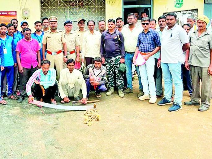 Interstate gang involved in teak smuggling | सागवान तस्करी करणारी आंतरराज्यीय टोळी गजाआड Interstate gang involved in teak smuggling | सागवान तस्करी करणारी आंतरराज्यीय टोळी गजाआड