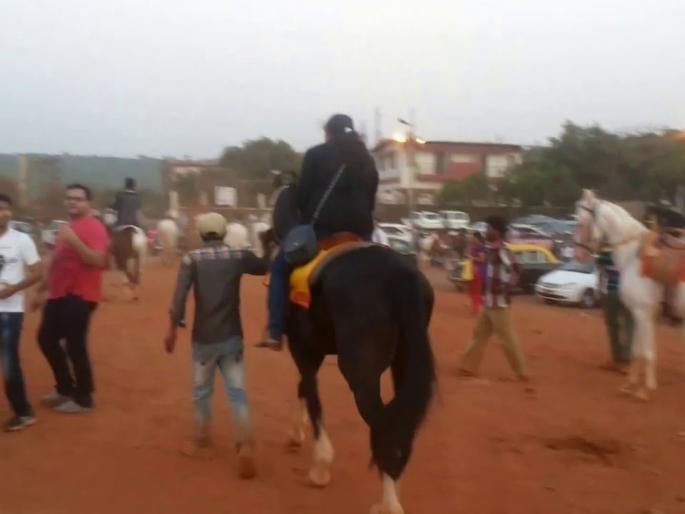 Crime against the President of the Horse and Pony Association in Mahabaleshwar | महाबळेश्वरात हॉर्स अँड पोनी असोसिएशनच्या अध्यक्षावर गुन्हा Crime against the President of the Horse and Pony Association in Mahabaleshwar | महाबळेश्वरात हॉर्स अँड पोनी असोसिएशनच्या अध्यक्षावर गुन्हा