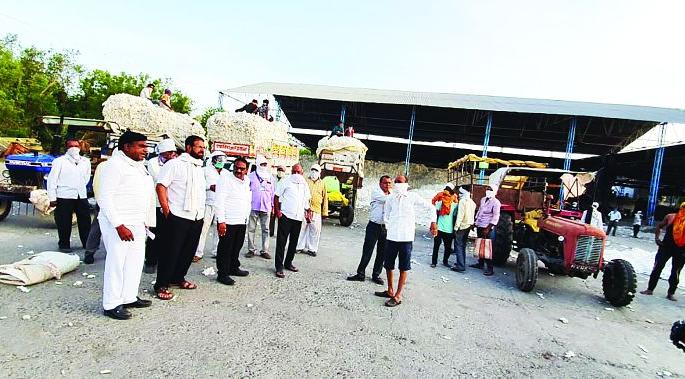 Purchase of 5 lakh 36 thousand 661 quintals of cotton at Malkapur! | मलकापूर येथे ५ लाख ३६ हजार ६६१ क्विंटल कापसाची खरेदी!