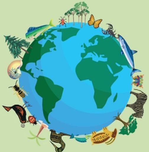 The biodiversity of the Gram Panchayats is the same | ४०८ ग्रामपंचायतींची जैवविविधता वही तयार The biodiversity of the Gram Panchayats is the same | ४०८ ग्रामपंचायतींची जैवविविधता वही तयार