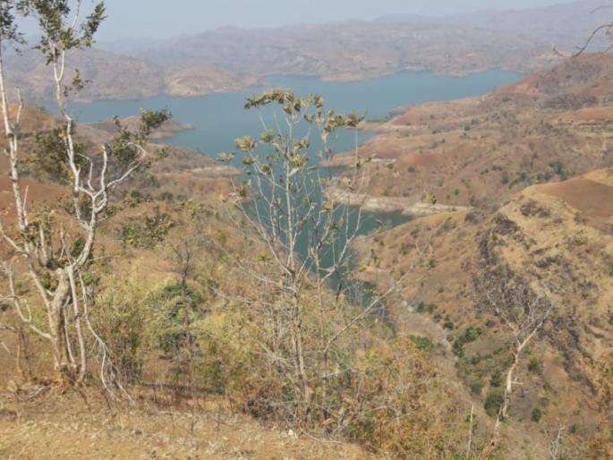  Satpuda with bodka needs spouse | बोडका झालेल्या सातपुड्याला गतवैभवाची गरज