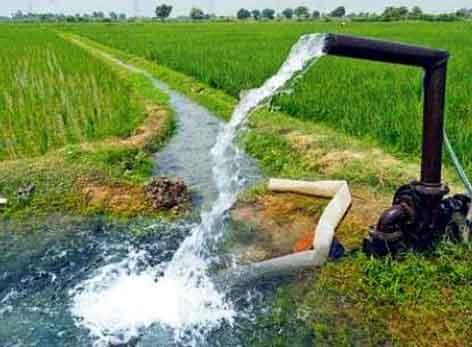 Parbhani: Selection of five villages for Krishi Sanjeevani project | परभणी : कृषी संजीवनी प्रकल्पासाठी पाच गावांची झाली निवड Parbhani: Selection of five villages for Krishi Sanjeevani project | परभणी : कृषी संजीवनी प्रकल्पासाठी पाच गावांची झाली निवड