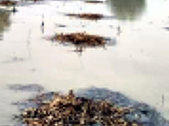 Parbhani: In the second phase, around Rs 1 crore bank class | परभणी : दुसऱ्या टप्प्यातील १६६ कोटी बँकेकडे वर्ग Parbhani: In the second phase, around Rs 1 crore bank class | परभणी : दुसऱ्या टप्प्यातील १६६ कोटी बँकेकडे वर्ग