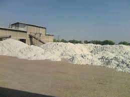 Ginning associations refuse to start ginning due to oppressive conditions of administration | प्रशासनाच्या जाचक अटीमुळे जिनिंग संघटनांचा जिनिंग सुरू करण्यास नकार Ginning associations refuse to start ginning due to oppressive conditions of administration | प्रशासनाच्या जाचक अटीमुळे जिनिंग संघटनांचा जिनिंग सुरू करण्यास नकार