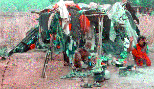 Does anyone give a house for these 'shabrias' in the forest ... house ...! | जंगलातल्या या ‘शबरीं’साठी कोणी घर देता का... घर...! Does anyone give a house for these 'shabrias' in the forest ... house ...! | जंगलातल्या या ‘शबरीं’साठी कोणी घर देता का... घर...!