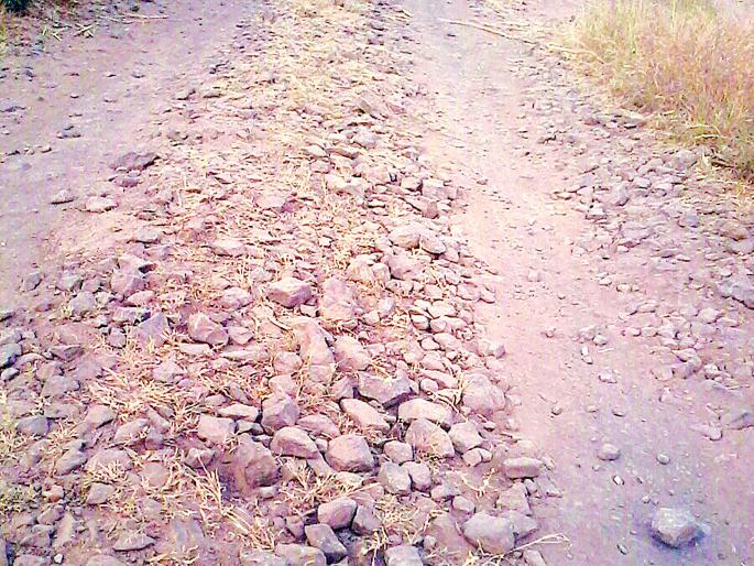 Satara: Not a problem ... This is the road to the field, the relics of Ranjani Pati-Palshi road | सातारा :हमरस्ता नव्हे ... ही तर शेतातली पायवाट, रांजणी पाटी-पळशी रस्त्याची दुरवस्था Satara: Not a problem ... This is the road to the field, the relics of Ranjani Pati-Palshi road | सातारा :हमरस्ता नव्हे ... ही तर शेतातली पायवाट, रांजणी पाटी-पळशी रस्त्याची दुरवस्था