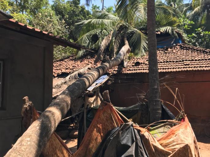 Wind power increased on the coast of Sindhudurg, devastation in Debobaad and result of fishing | सिंधुदुर्ग किनारपट्टीवर वाऱ्याचा जोर वाढला, देवबागात पडझड, मासेमारीवर परिणाम Wind power increased on the coast of Sindhudurg, devastation in Debobaad and result of fishing | सिंधुदुर्ग किनारपट्टीवर वाऱ्याचा जोर वाढला, देवबागात पडझड, मासेमारीवर परिणाम