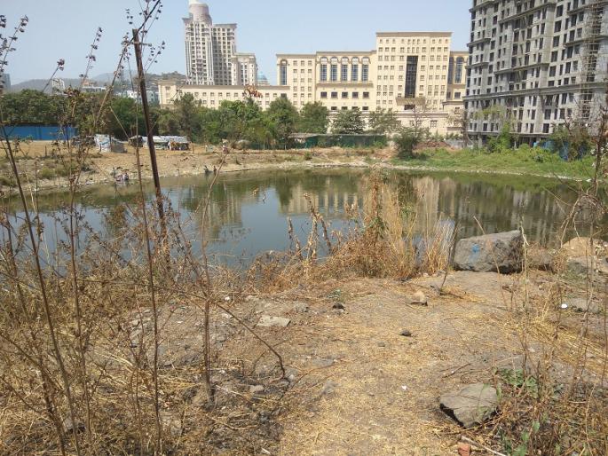 Turpepada lake will get Navsanjivani, seven crores spent | तुर्फेपाडा तलावाला मिळणार नवसंजीवनी, सात कोटींचा केला जाणार खर्च Turpepada lake will get Navsanjivani, seven crores spent | तुर्फेपाडा तलावाला मिळणार नवसंजीवनी, सात कोटींचा केला जाणार खर्च