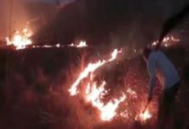 Bake the matori on the gyran forest land | मातोरीला गायरान वनजमीनीवर वणवा Bake the matori on the gyran forest land | मातोरीला गायरान वनजमीनीवर वणवा