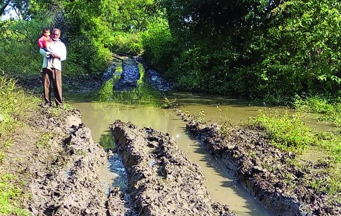 Agriculture yields stuck in the field due to bad roads | घाम गाळून पिकविलेला माल अडकला शेतातच! Agriculture yields stuck in the field due to bad roads | घाम गाळून पिकविलेला माल अडकला शेतातच!