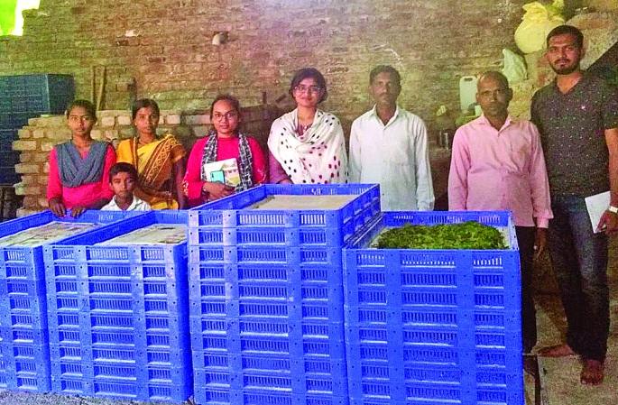 First silk outpost in Washim district operational! | वाशिम जिल्ह्यातील पहिली रेशीम चौकी कार्यान्वित!