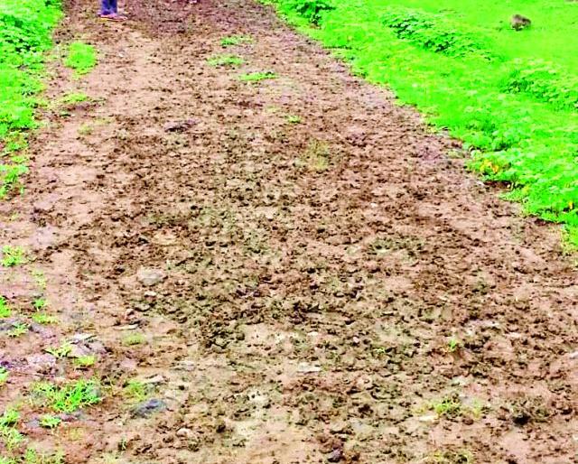 Pipery pans | पिपरीच्या पांदण रस्ता कामात गैरप्रकार Pipery pans | पिपरीच्या पांदण रस्ता कामात गैरप्रकार