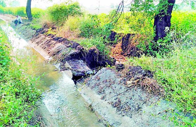 The water released from the bordharan rises to the life of the farmers | बोरधरणातून सोडलेले पाणी उठले शेतकऱ्यांच्या जीवावर The water released from the bordharan rises to the life of the farmers | बोरधरणातून सोडलेले पाणी उठले शेतकऱ्यांच्या जीवावर