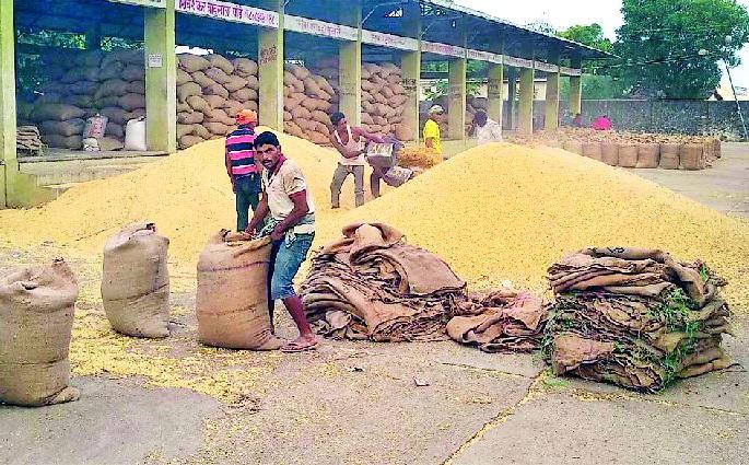 Devaluation; Soybeans Rs 3,399 | अवमूल्यन; सोयाबीन ३,३९९ रुपये Devaluation; Soybeans Rs 3,399 | अवमूल्यन; सोयाबीन ३,३९९ रुपये