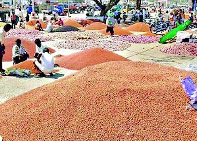 Registration of only 822 farmers | केवळ ८२२ शेतकऱ्यांची नोंदणी Registration of only 822 farmers | केवळ ८२२ शेतकऱ्यांची नोंदणी