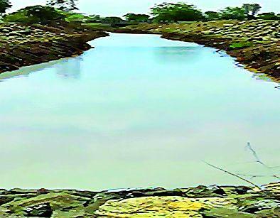 Water level decreased by 0.72 m | पाणी पातळी ०.७२ मीटरने खालावली Water level decreased by 0.72 m | पाणी पातळी ०.७२ मीटरने खालावली