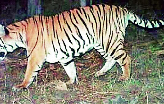 'That' bone has never been tested | ‘त्या’ हाडांचे परीक्षण झालेच नाही