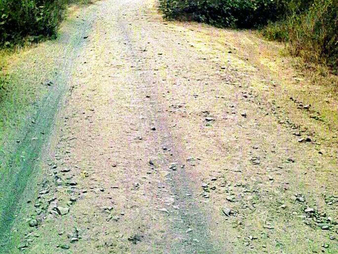 Shegaon-Karol Road | शेगाव-करुळ रस्त्याची झाली दैना Shegaon-Karol Road | शेगाव-करुळ रस्त्याची झाली दैना