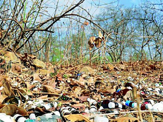 Hazardous chemicals arise from the dead of the forest | घातक रसायने उठली जंगलाच्या जीवावर Hazardous chemicals arise from the dead of the forest | घातक रसायने उठली जंगलाच्या जीवावर