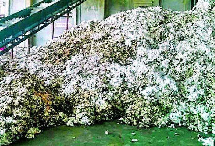 40 lakh Cattle fire | घाटंजीत ४० लाखांच्या कापसाला आग