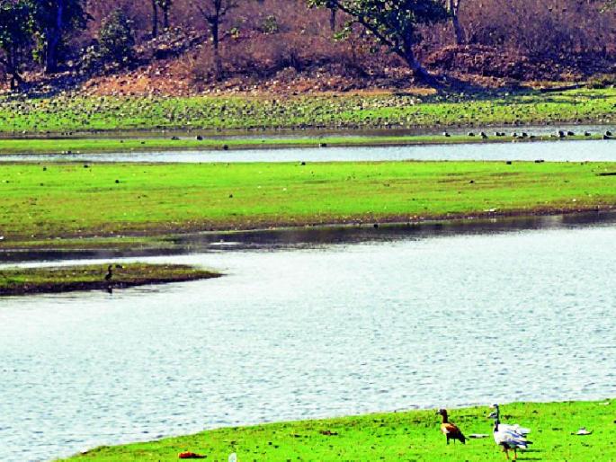 In reservoirs, 90 percent water | जलाशयांमध्ये १९ टक्के पाणी In reservoirs, 90 percent water | जलाशयांमध्ये १९ टक्के पाणी