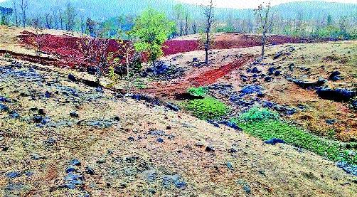 Opting for Maharashtra's forest resources for 'Kaitha' of Gujarat | गुजरातच्या ‘काथा’साठी महाराष्टÑाच्या वनसंपदेला चुना