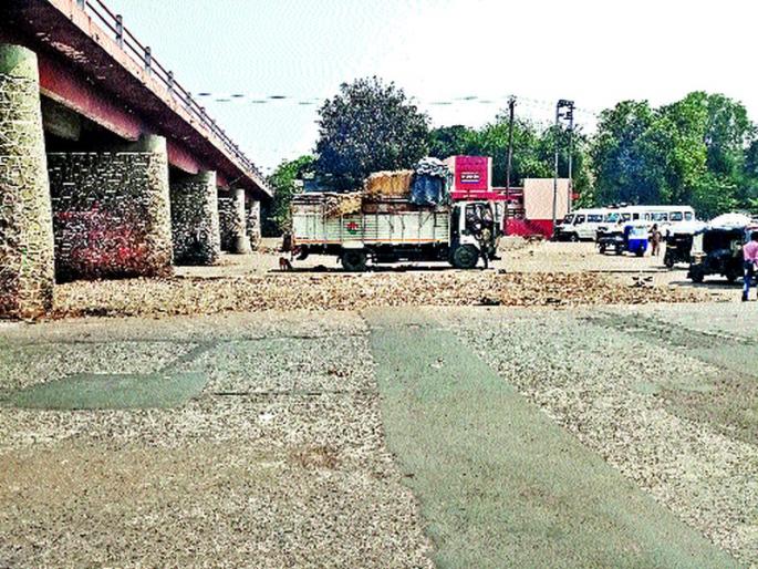 Goa goes missing from Gauri Court | गौरी पटांगणावरून गोवया गायब Goa goes missing from Gauri Court | गौरी पटांगणावरून गोवया गायब