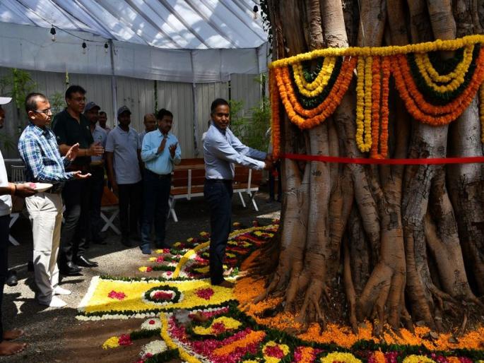 Tree census begins with 262-year-old pimpal tree | २६२ वर्षांच्या पिंपळ वृक्षाच्या पूजनाने वृक्षगणनेला केली सुरुवात Tree census begins with 262-year-old pimpal tree | २६२ वर्षांच्या पिंपळ वृक्षाच्या पूजनाने वृक्षगणनेला केली सुरुवात