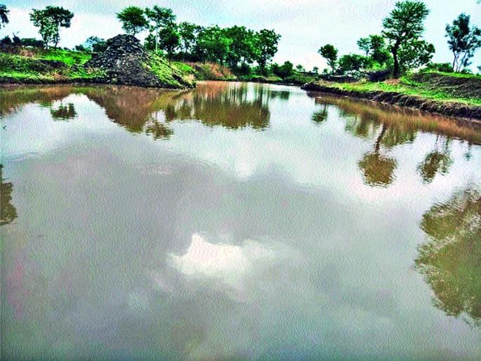  The two bogs of the scattered tumors tumble in the first rain | विखरणीतील दोन बंधारे पहिल्याच पावसात तुडुंब