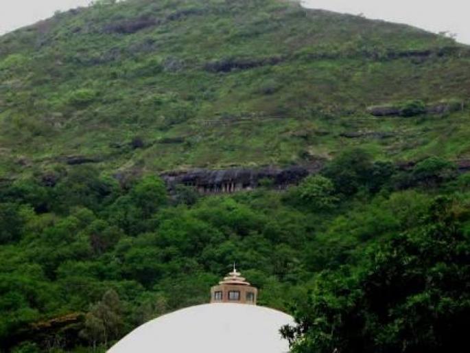 The unique world of the Pandavaleean plant near the city | शहराजवळील पांडवलेणीवर वनस्पतीचे अनोखे विश्व