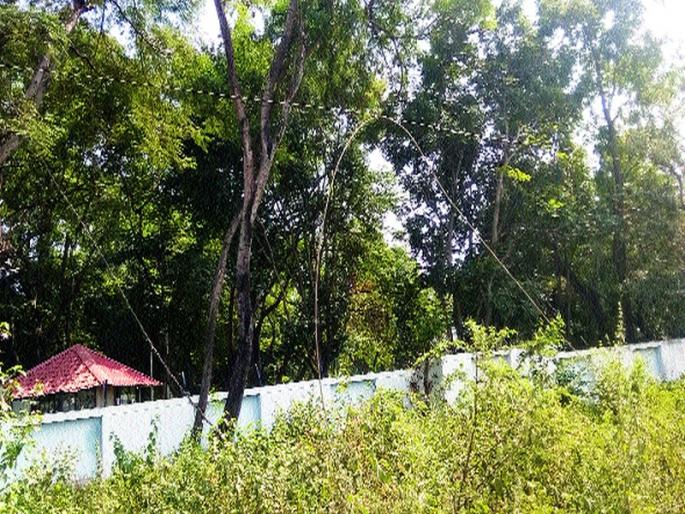 It's a dark month on Ekalahare Road | एकलहरे रोडवर महिनाभरापासून अंधार It's a dark month on Ekalahare Road | एकलहरे रोडवर महिनाभरापासून अंधार